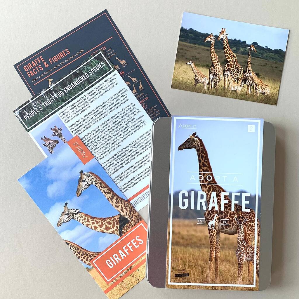 Adopt A Giraffe Gift Tin, 1 of 4