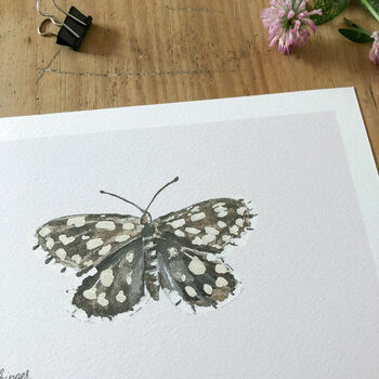 ‘Chequered Skipper’ Butterfly A5 Giclée Art Print, 3 of 3
