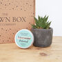 Stylish Succulent Plant And Hand Care Gift Set, thumbnail 1 of 3