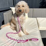 Make Your Own Pink Dog Lead Craft Kit, thumbnail 2 of 8