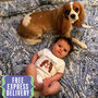 Personalised Dog Babygrow Choice Of Breeds, thumbnail 1 of 12