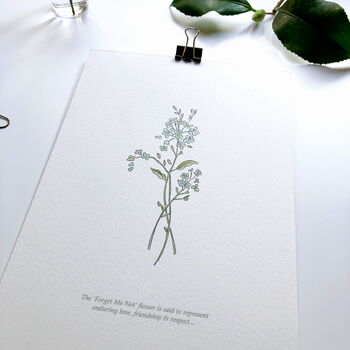 ‘Forget Me Not’ Spring Flower Botanical Art Print, 3 of 3
