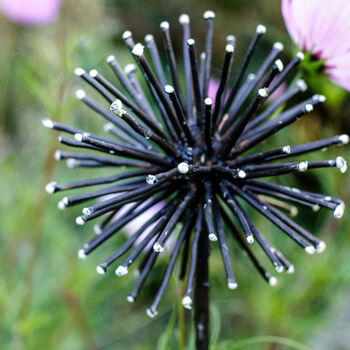 Black And White Allium Recycled Metal Garden Sculpture, 5 of 5