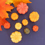 Pumpkin Candle Collection, thumbnail 2 of 4