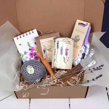 Grow Your Own Lavender Garden Gift, 6 of 7