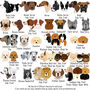 Dog Breed ID Tag Personalised, thumbnail 4 of 12