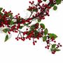 150cm Luxury Christmas Natural Look Red Berry Garland, thumbnail 2 of 5