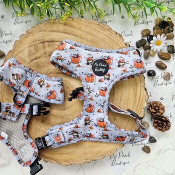 Little Pumpkin Bear Cub Dog Harness With Optional Set, 3 of 8