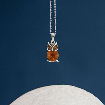 Sterling Silver Baltic Amber Owl Necklace, 3 of 12