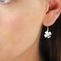 Sterling Silver Lucky Clover Leaf Drop Earrings, thumbnail 3 of 7