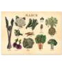 Personalised UK Seasonal Fruit And Vegetable Dateless Wall Calendar, thumbnail 4 of 8