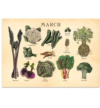 Personalised UK Seasonal Fruit And Vegetable Dateless Wall Calendar, 4 of 8