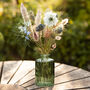 Grow Your Own Dried Flower Bouquet And Vase Gift Set, thumbnail 11 of 12