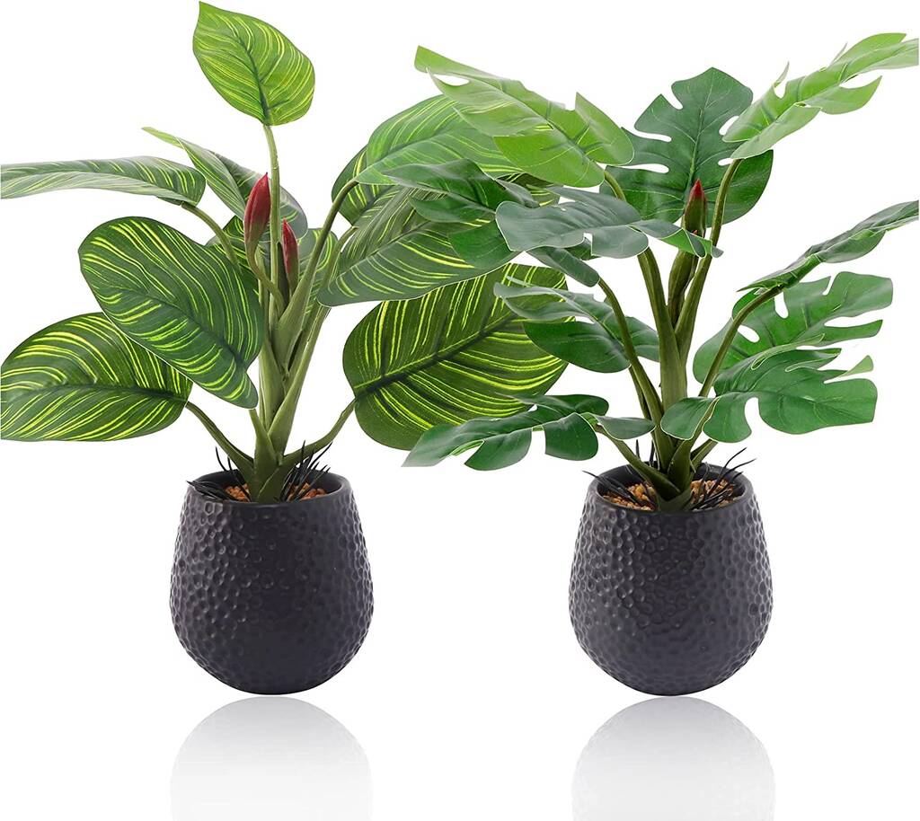 Two Indoor Artificial Plants In Pots By Momentum