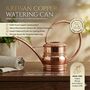 Handmade Copper Watering Can Long Spout, Solid Copper Planter Pot, thumbnail 3 of 5
