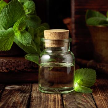 Herb Plants Spearmint In 9cm Pots, 3 of 7