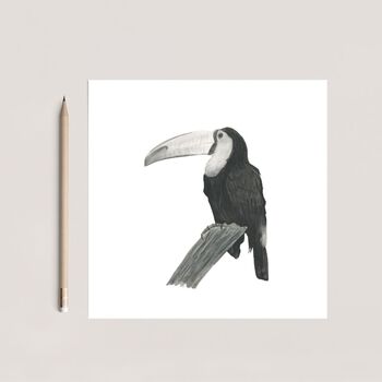 Sal The Toucan Luxury Blank Greeting Card, 2 of 3