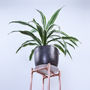 Tall Square Copper Plant Stand, thumbnail 3 of 3