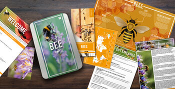 Adopt A Bee Tin Gift Kit, 2 of 2