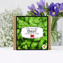 Herb Garden Basil Growing Kit. Gardening Gift, thumbnail 5 of 5