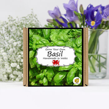 Herb Garden Basil Growing Kit. Gardening Gift, 5 of 5