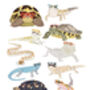 Reptiles In Glasses, thumbnail 2 of 2