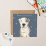 Street Vet Ty Charity Christmas Card With Gold Foil, thumbnail 1 of 3