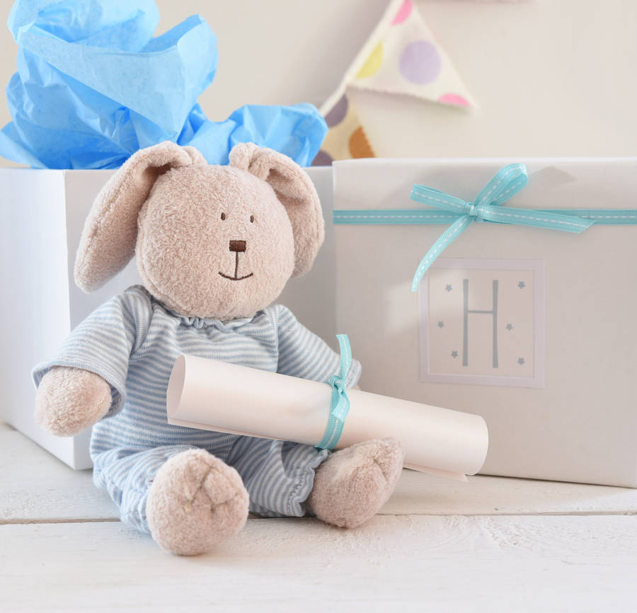 New Baby Boy Gift. A Bunny Box And Personalised Poem By A Touch Of Verse