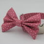 Pink Star Dog Bow Tie, thumbnail 1 of 6