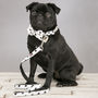The Mayfair Spotted Dog Collar Bow Tie And Lead Set, thumbnail 6 of 6