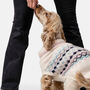 Matching Christmas Owner Dog Jumper Lumi Set, thumbnail 4 of 6