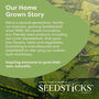 Personalised Thyme Desktop Cube Garden, thumbnail 6 of 6