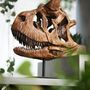 Carnotosaurus 3D Replica Dinosaur Skull, thumbnail 3 of 5