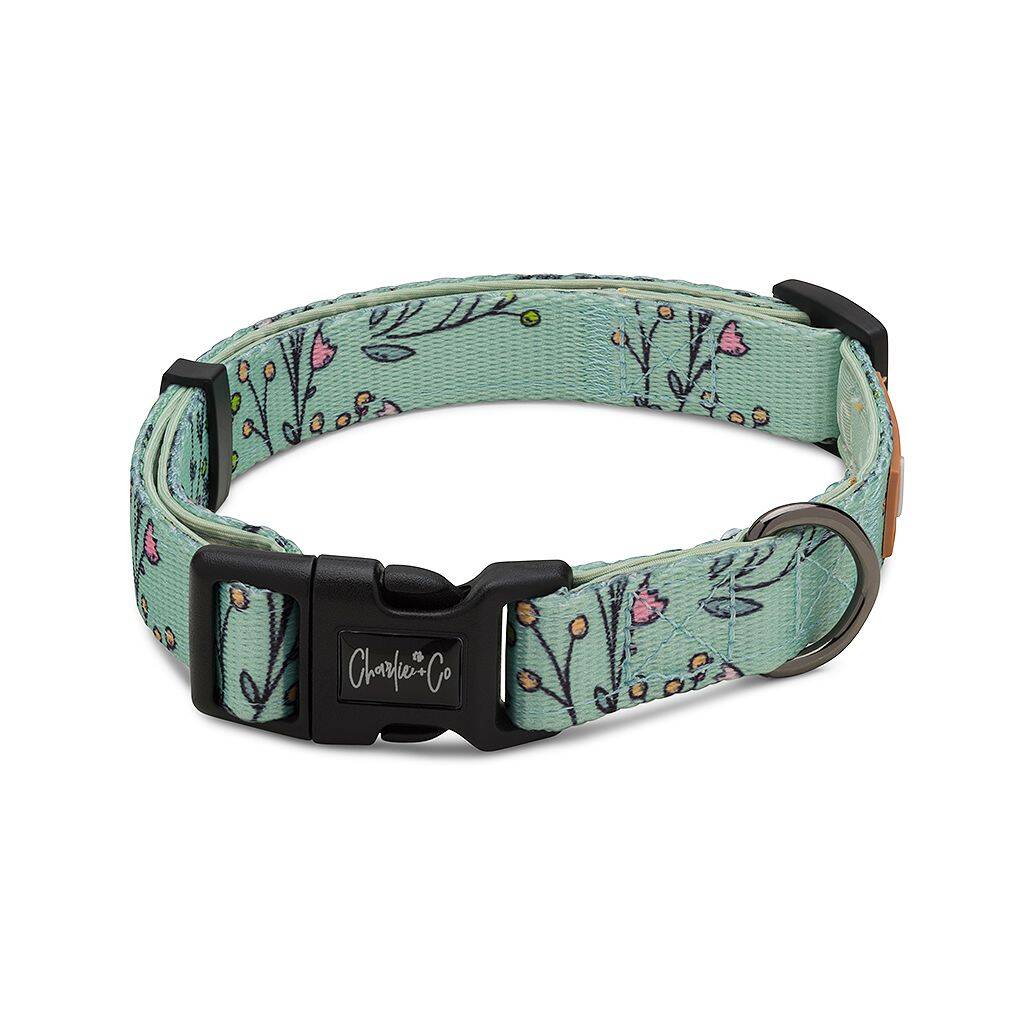 Are You Floreal? Dog Collar, 1 of 2