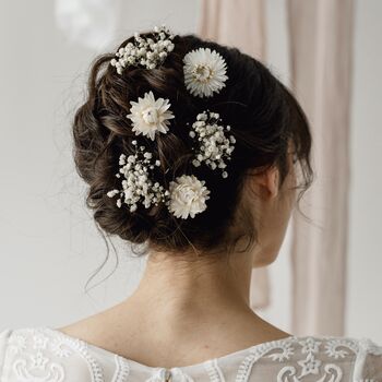 Pippa Dried Straw Flower Wedding Bridal Hair Pins, 2 of 6