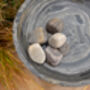 Shark Sandstone Pebbles, thumbnail 3 of 4