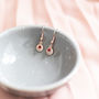 Pave Disc Birthstone Earrings, thumbnail 7 of 11