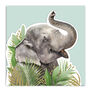 Elephant 3D Card Lola Design X Zsl, thumbnail 1 of 2