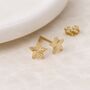 Gold Plated Sterling Silver Textured Star Stud Earrings, thumbnail 2 of 6