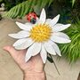 Pair Of Daisy And Ladybird Flower Garden Stakes Art101, thumbnail 6 of 6