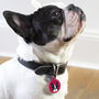 French Bulldog Pet Tag, thumbnail 7 of 12