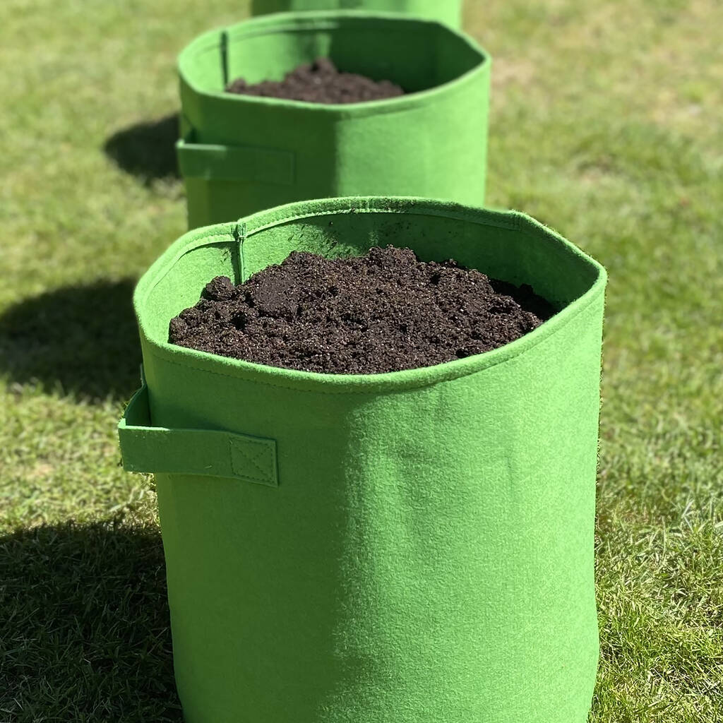 Set Of Six Breathable Vegetable And Potato Planters By Garden