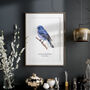 Indigo Bunting Bird Wall Print, thumbnail 4 of 6