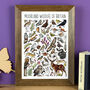 Moorland Wildlife Of Britain Wildlife Print, thumbnail 1 of 9