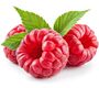 Raspberry Plants, 'Tulameen Pearl', thumbnail 1 of 4