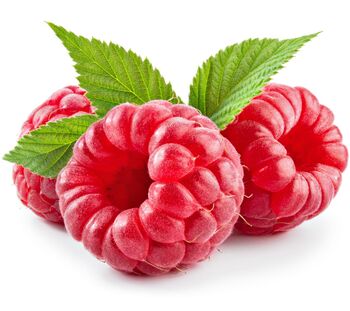 Raspberry Plants, 'Tulameen Pearl', 2 of 4