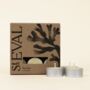 Sea Salt Scented Tealights, thumbnail 1 of 2