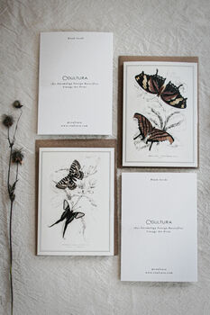 Colour Butterfly Greeting Cards – Set Of Four Vintage A6 Designs, 4 of 11