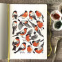 Bullfinches Watercolour Art Print, thumbnail 3 of 8