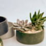 Handmade Diy Succulent Bowl, thumbnail 4 of 7